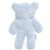 Snuggles Teddy