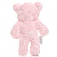 Snuggles Teddy